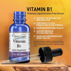 HoneyCombs B1 thiamine liquid drops made in USA with quality control