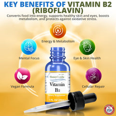 HoneyCombs B2 Drops pictured with lifestyle items for convenient supplementation.