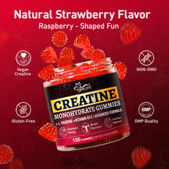 Hoozzch Creatine Gummies 120-count bottle on shelf signals great value.