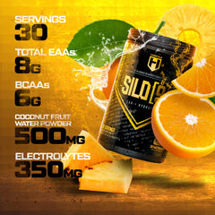 HOSSTILE SILO[9] EAA intra-workout-stir showcases mid-session amino availability.