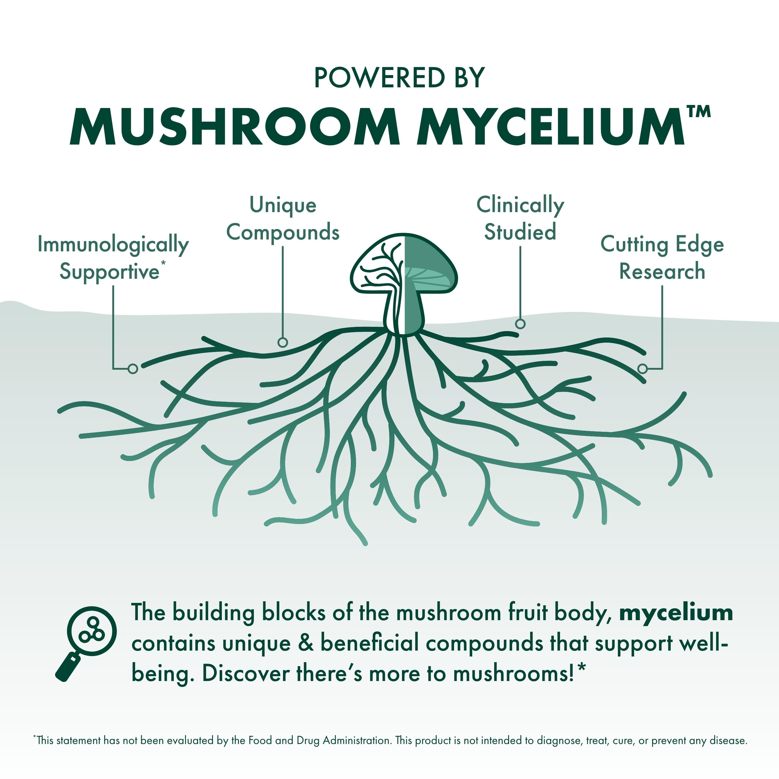 Host Defense Chaga Capsules on brown rice substrate, spotlighting mushroom mycelium origin for quality