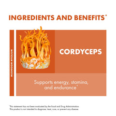 Host Defense Cordyceps capsules daily use set in natural lighting