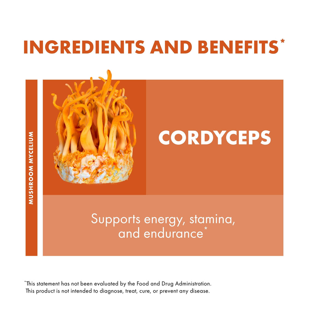 Organic brown rice substrate used to grow Host Defense cordyceps mycelium