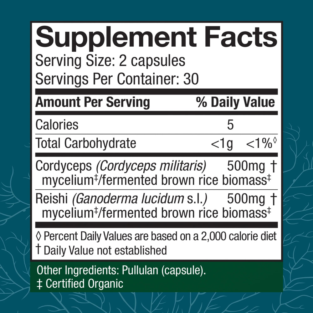 Host Defense CordyChi capsules held in hand showcasing convenient daily wellness.