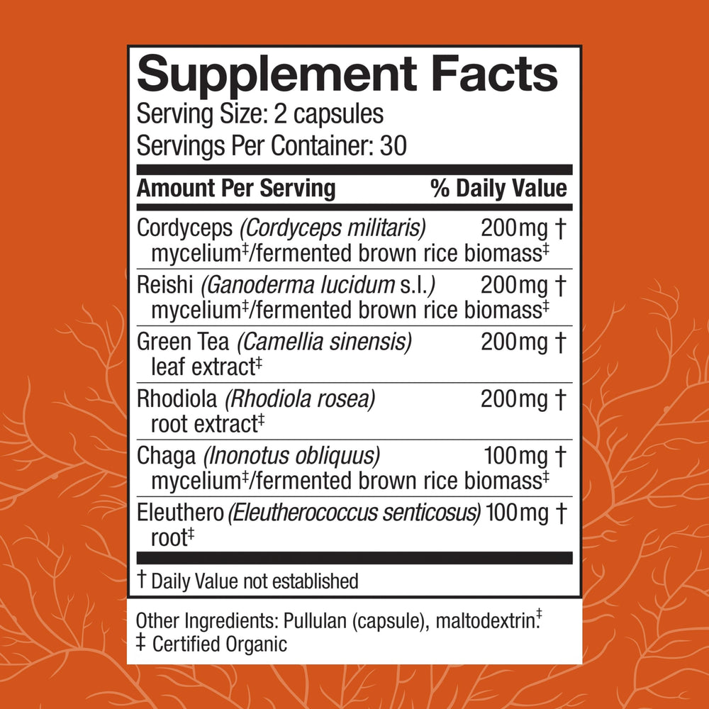 Host Defense MycoBotanicals Energy Capsules label close-up highlighting Cordyceps blend