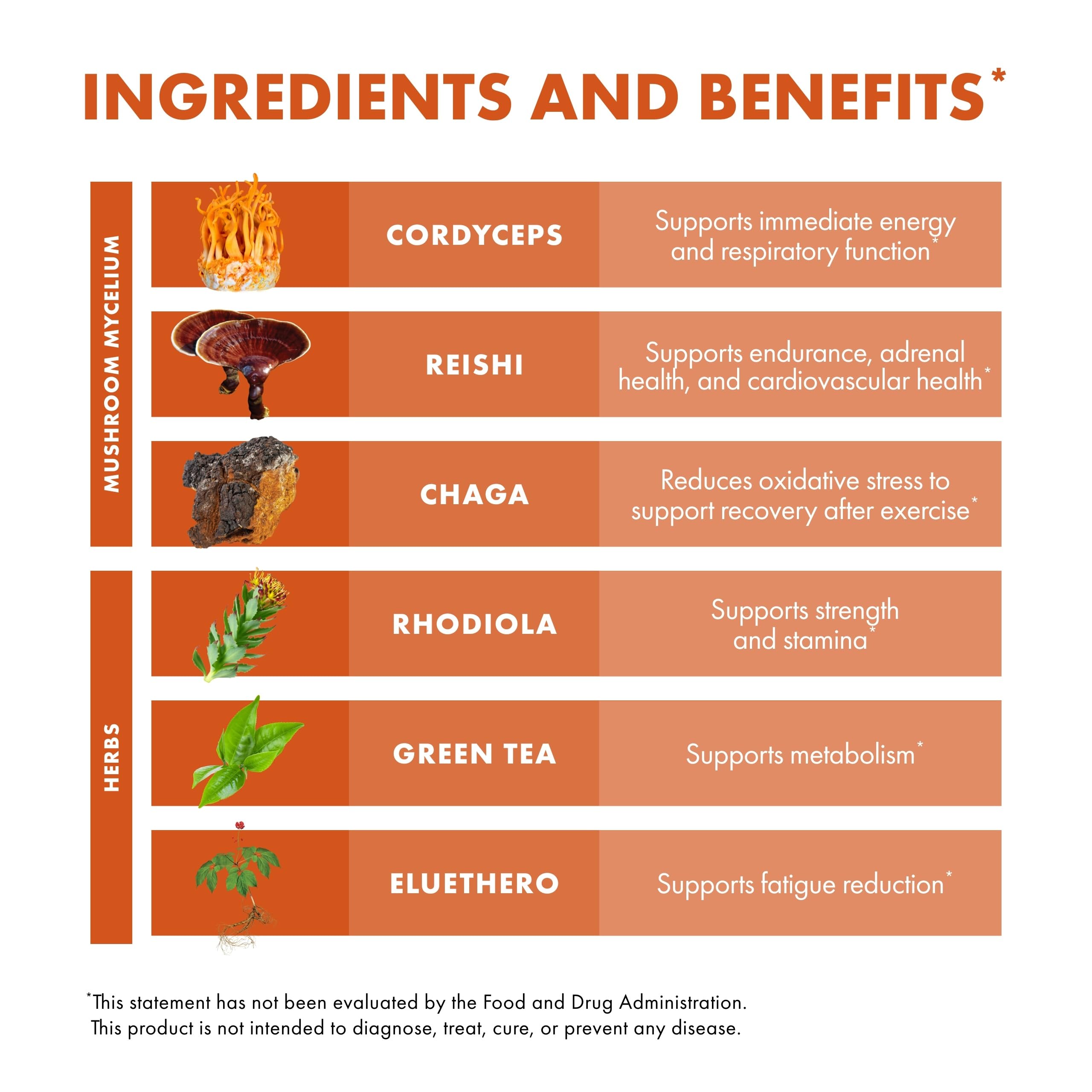 Host Defense MycoBotanicals Energy Capsules mushroom blend with Reishi and Chaga