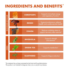 Host Defense MycoBotanicals Energy Capsules mushroom blend with Reishi and Chaga