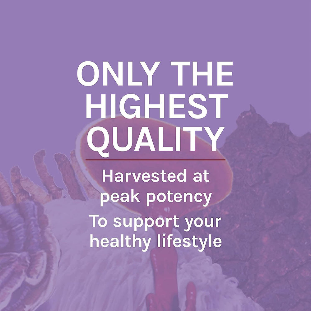 Host Defense Lions Mane bottle packaging closeup signaling premium brain health support.