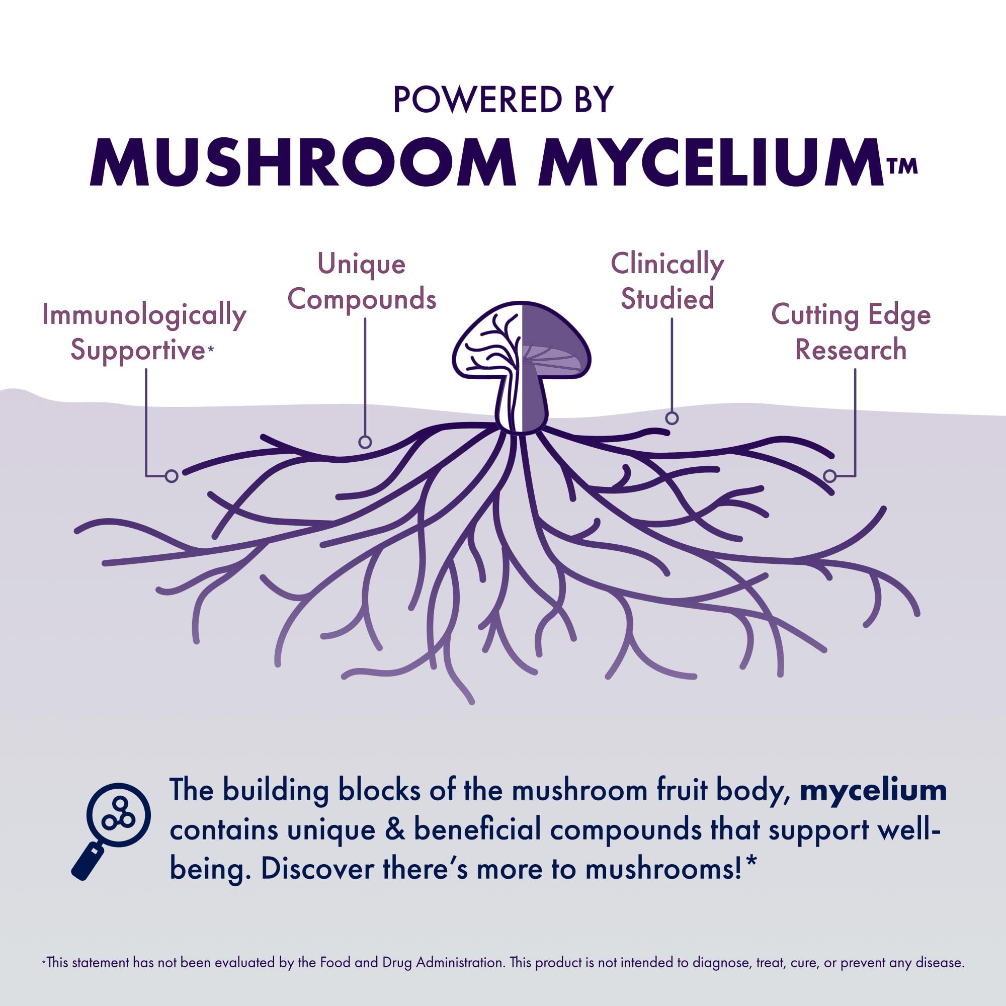 Host Defense Lion's Mane capsules in hand for everyday cognitive support