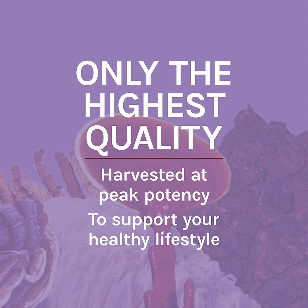 Host Defense Lions Mane bottle on counter for daily routine.