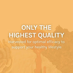 Host Defense Mesima packaging and branding signaling quality and care.