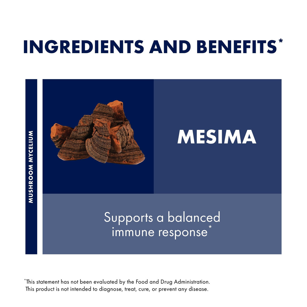 Host Defense mushroom mycelium on brown rice substrate, illustrating sustainable sourcing.