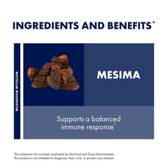 Host Defense mushroom mycelium on brown rice substrate, illustrating sustainable sourcing.