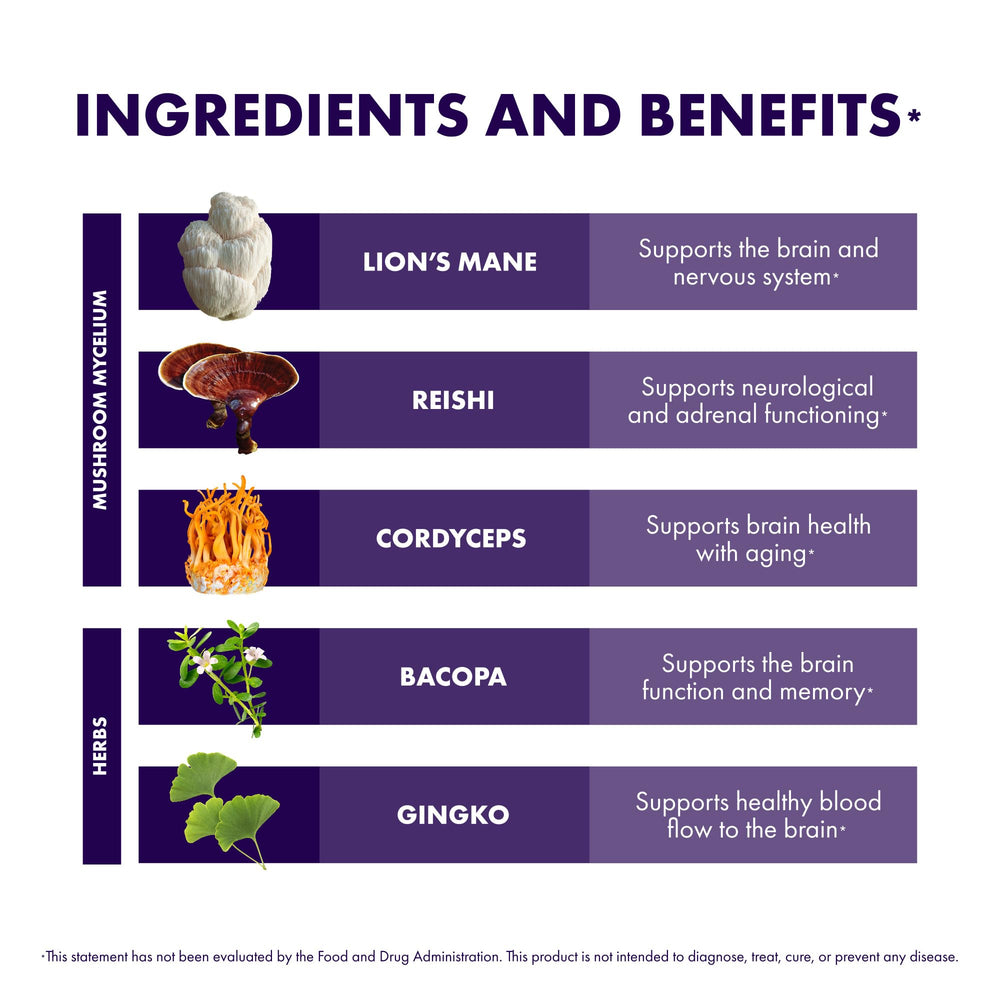 Brain graphic with mushroom icons representing brain health concept