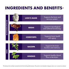 Brain graphic with mushroom icons representing brain health concept