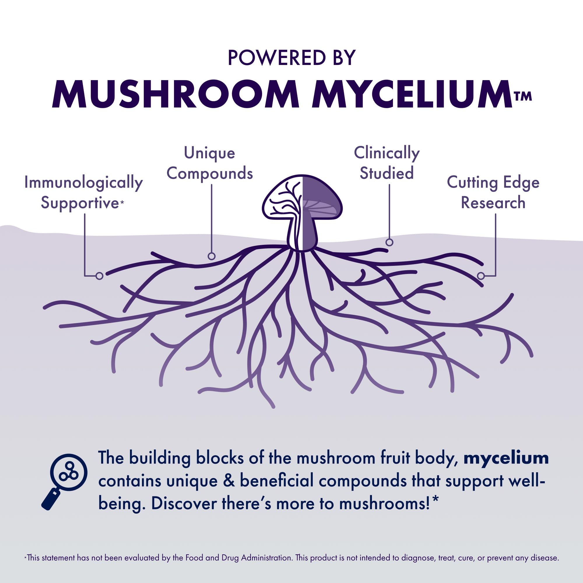 Host Defense MycoBotanicals Brain capsules packaging emphasizes eco-conscious design