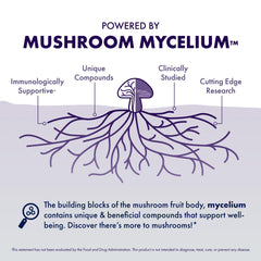 Host Defense MycoBotanicals Brain capsules packaging emphasizes eco-conscious design