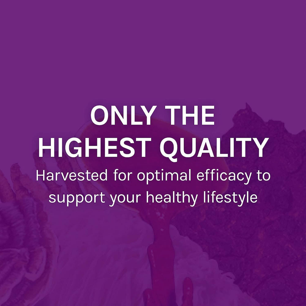 Box on a clean kitchen counter implying convenient wellness routine