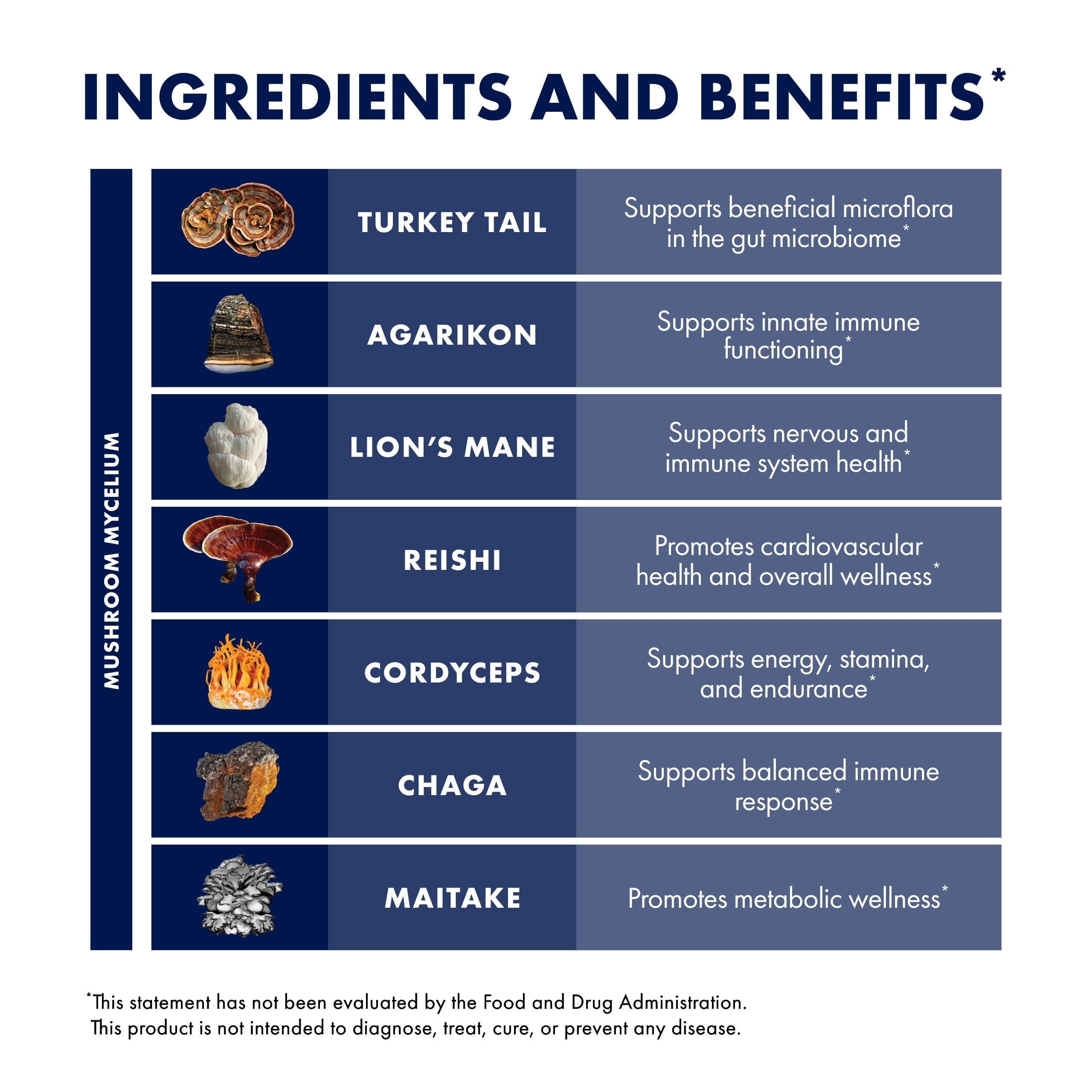 Host Defense MyCommunity packaging sits on a clean kitchen surface beside supplements.