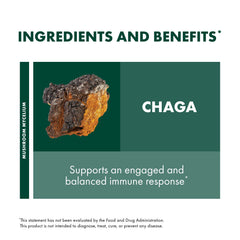 Host Defense Organic Mushroom Mycelium image highlights trusted fermentation on substrate.