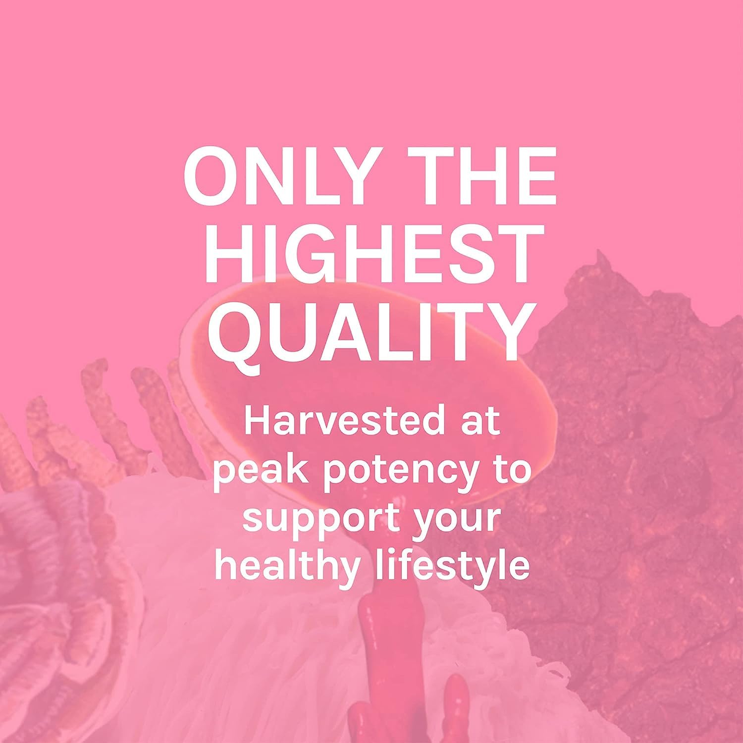 Non-GMO production shown for Host Defense Turkey Tail Extract with quality assurance.