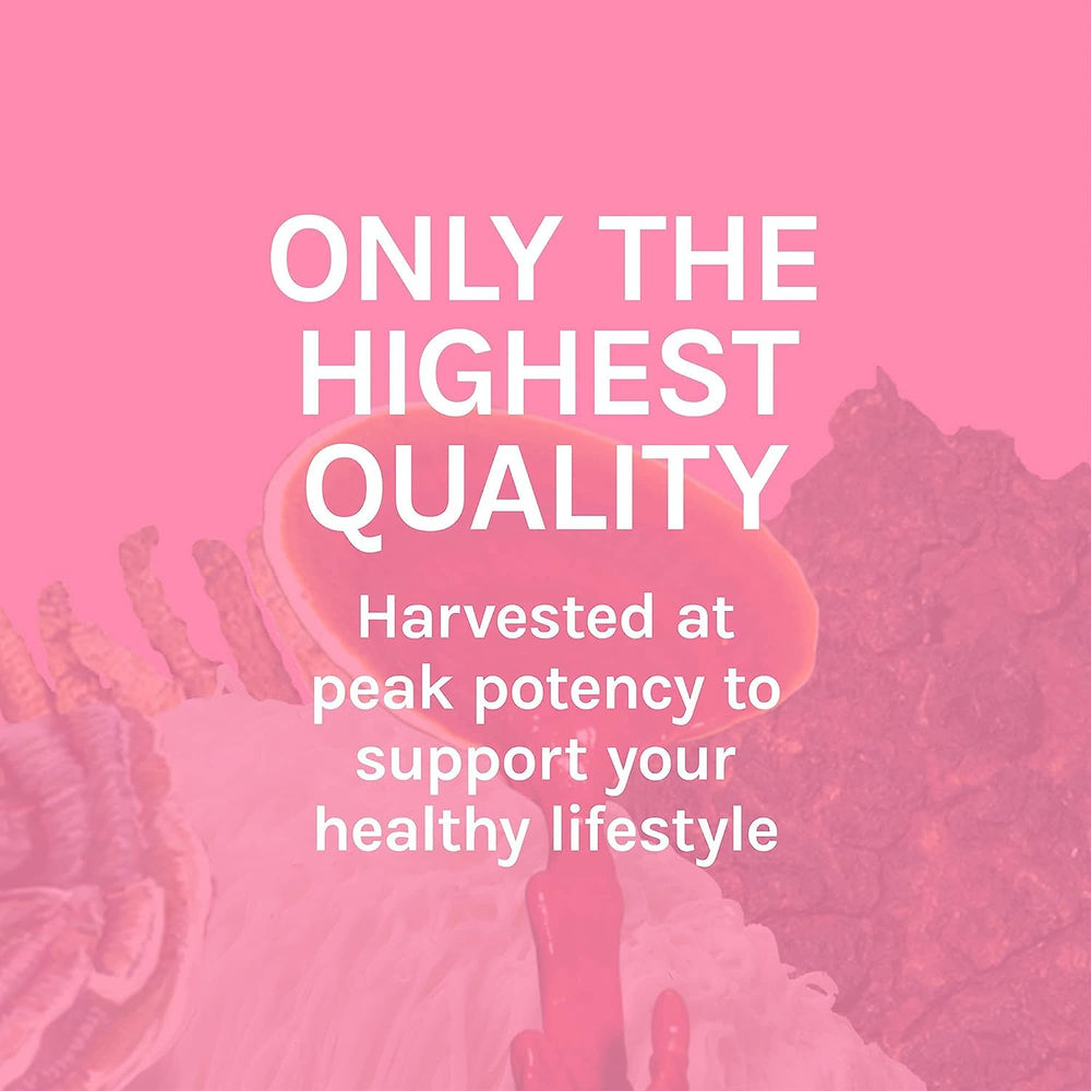 Non-GMO production shown for Host Defense Turkey Tail Extract with quality assurance.