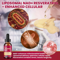 Hovika 2-pack NAD supplement box highlighting value and versatility.
