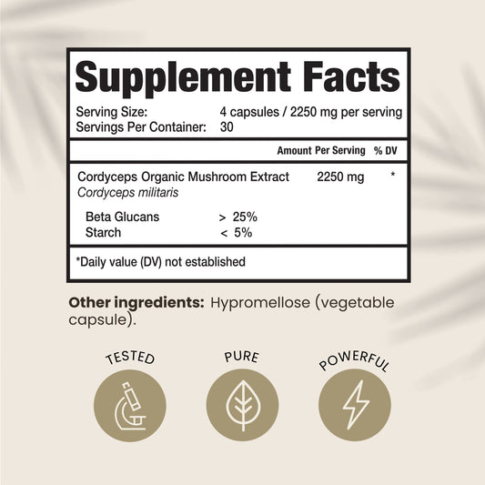 Cordyceps capsules ready for quick daily energy and recovery support.