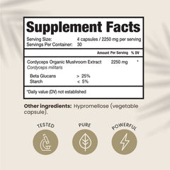Cordyceps capsules ready for quick daily energy and recovery support.