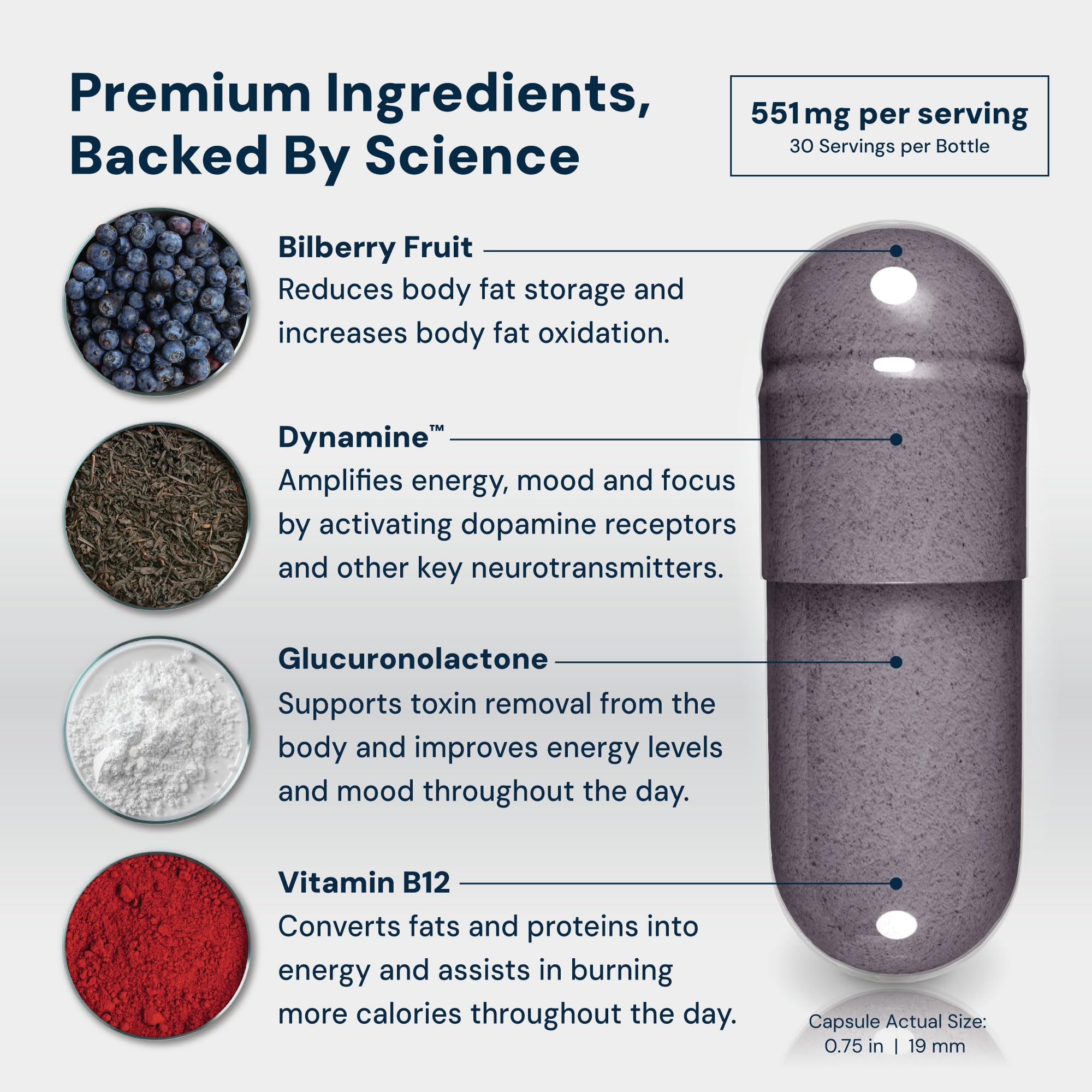 HPN M6 fat burner packaging back panel detailing ingredients