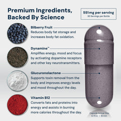 HPN M6 fat burner packaging back panel detailing ingredients