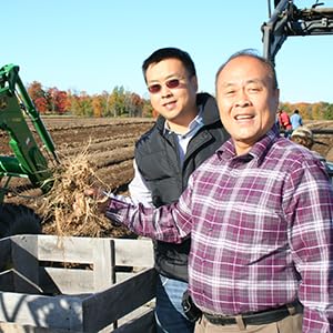Hsu's pure naturally dried ginseng with no additives.