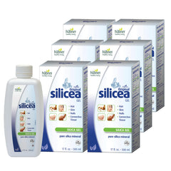 Hubner Silicea Gel bottle with dropper for easy daily use and hydration support.