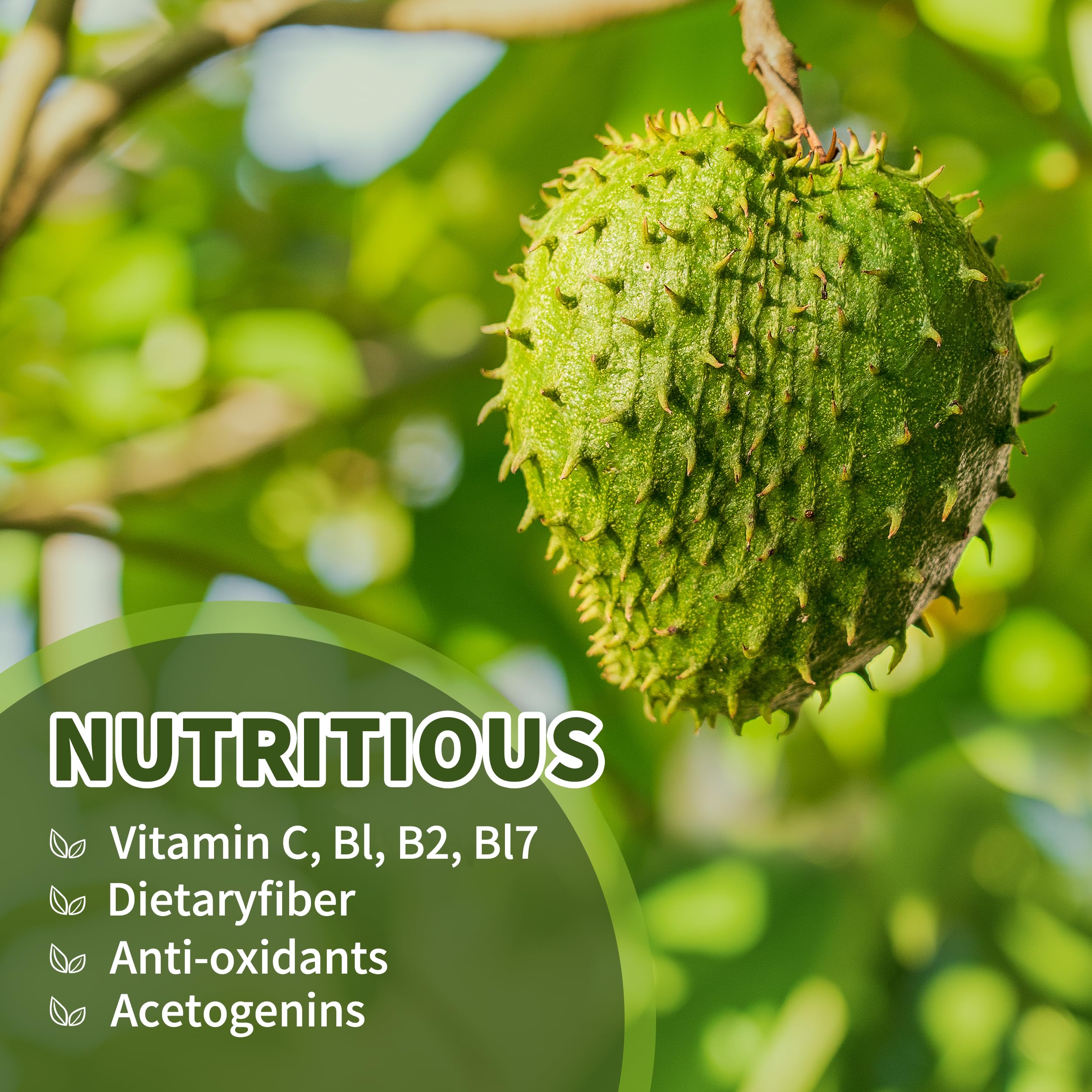 Hudetex soursop graviola leaf extract close-up highlighting natural ingredients.