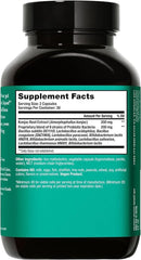 Visual suggesting digestive health support from HUM Skin Squad Probiotics