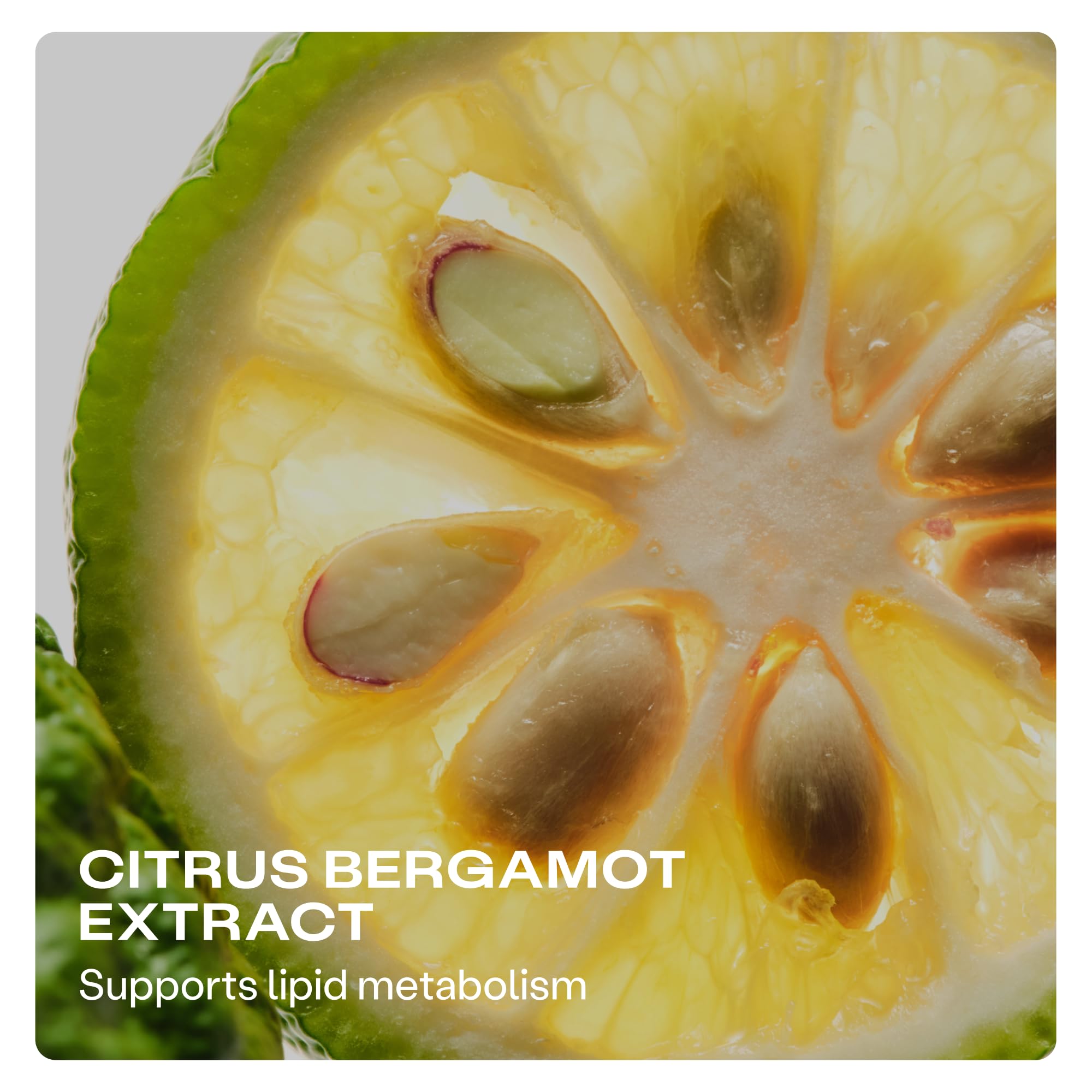 Humann Cholesterol Health aged black garlic with sulfur compounds