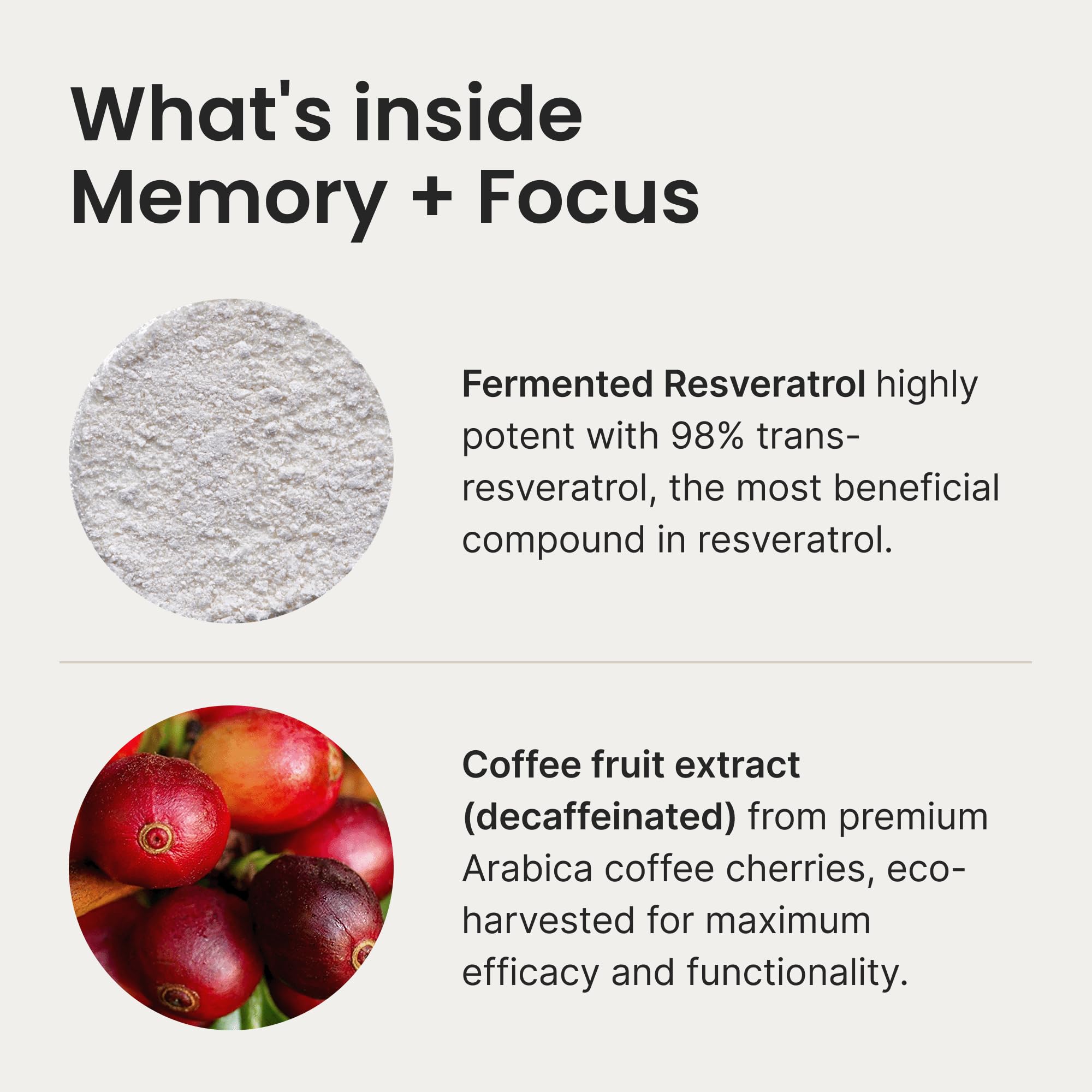 Humann Memory Focus Chews decaf coffee fruit extract close-up; potential focus support.