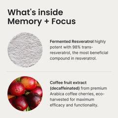 Humann Memory Focus Chews decaf coffee fruit extract close-up; potential focus support.