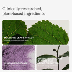 Humann Metabolic Health Daily green tea phytosome close-up emphasizes antioxidants.