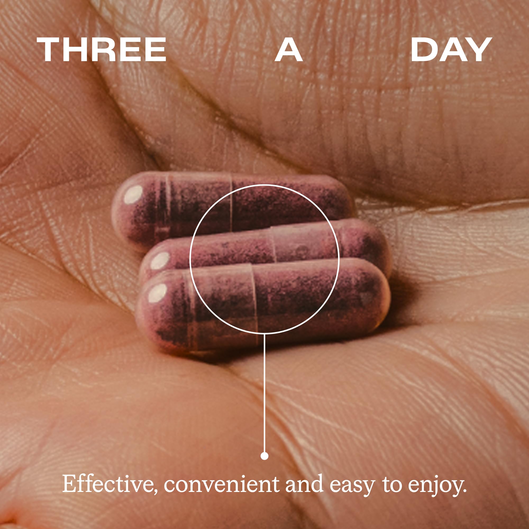 Humann SuperBeets sugar-free capsules close-up on label