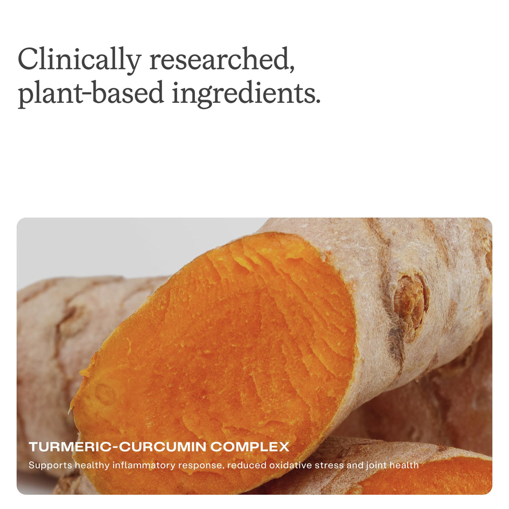 30-count jar of Humann Turmeric Chews on a kitchen counter.