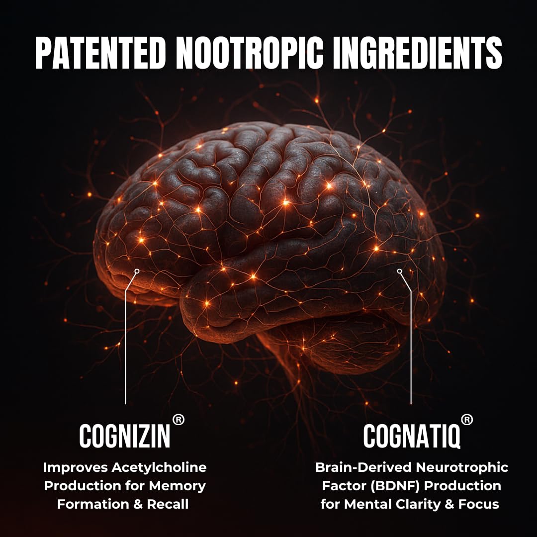 Humbleroots Performance ingredients visual shows Lion’s Mane, Bacopa, Turmeric for balanced cognition