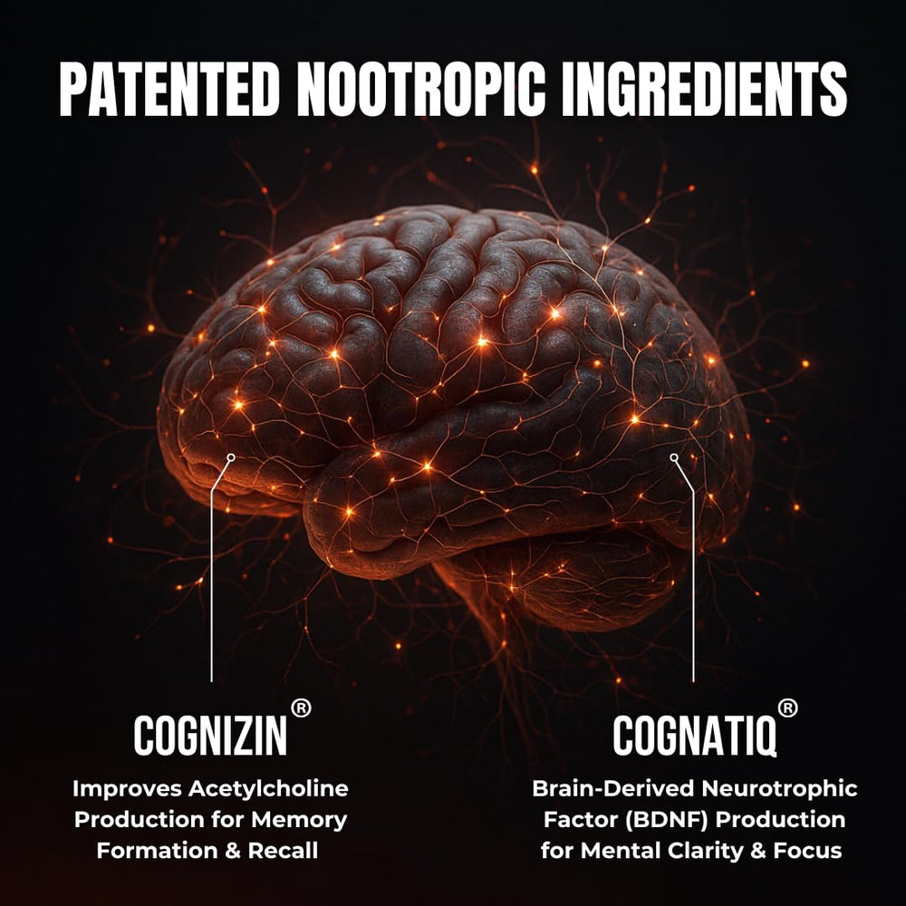 Humbleroots Performance ingredients visual shows Lion’s Mane, Bacopa, Turmeric for balanced cognition