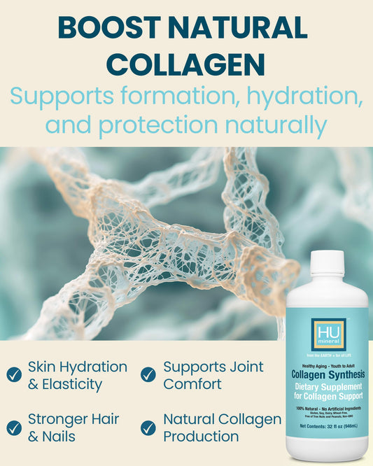 HUmineral Collagen Synthesis front view signaling joint support