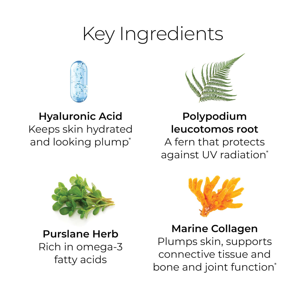 Hush & Hush ingredients box highlights green tea and polypodium leucotomos for antioxidant support.