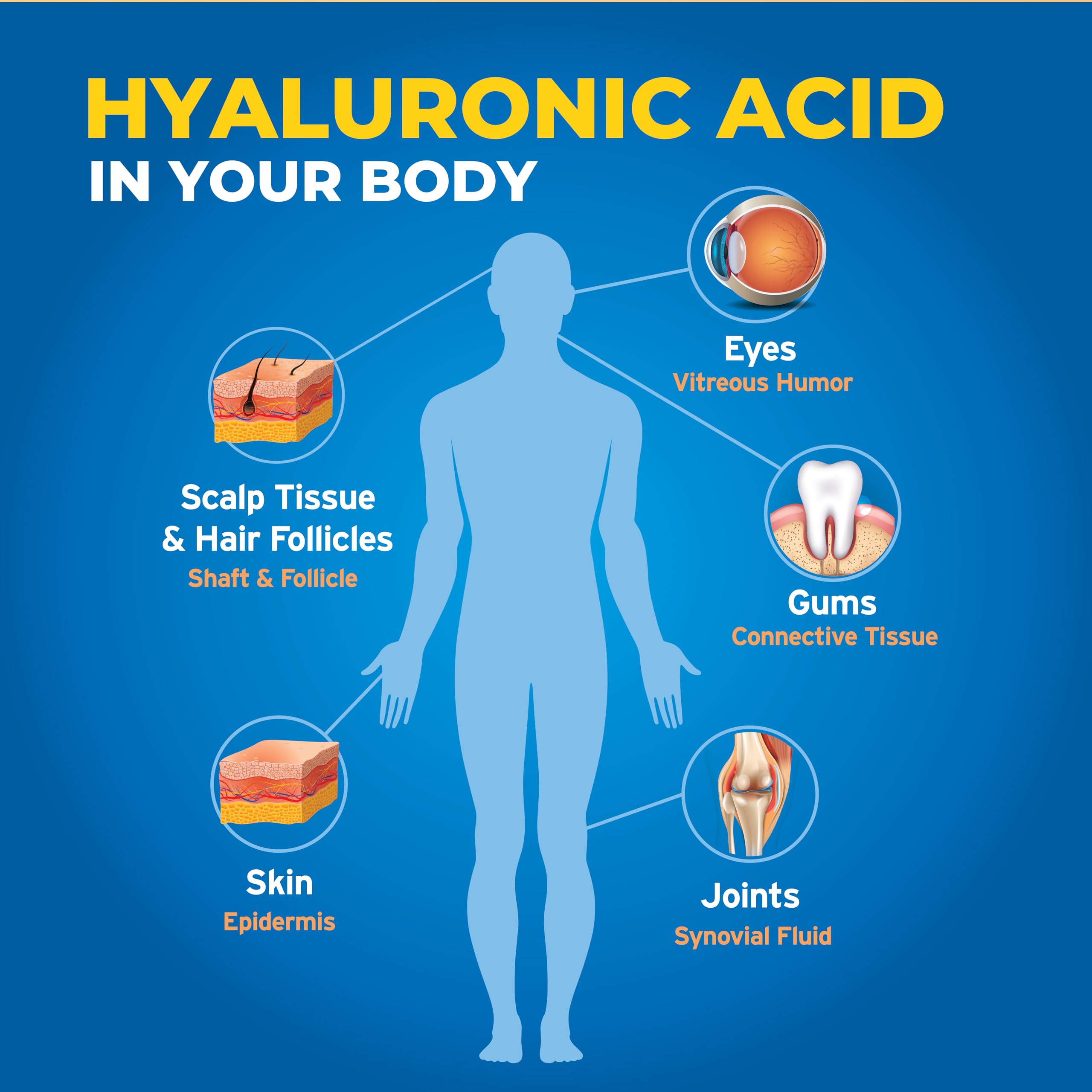 Hyalogic Synthovial Seven label closeup emphasizes vegan, gluten-free formulation.