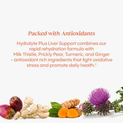 Hydralyte Green Tea extract component suggests a natural energy boost