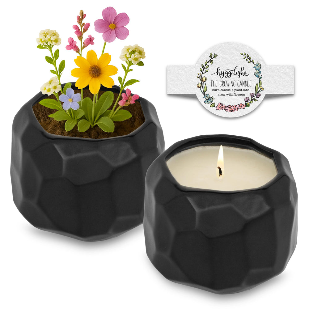 Hyggelight Emma growing candle in a lemongrass ceramic pot offers warm aroma.