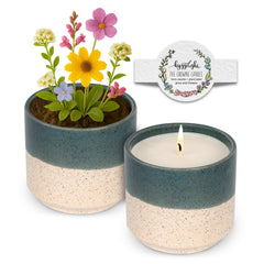 Hyggelight growing candle mint eucalyptus in a ceramic pot ready to freshen living spaces.
