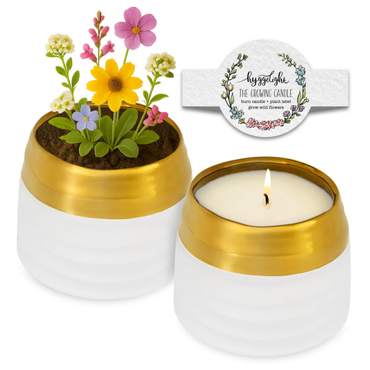 Hyggelight growing candle with sandalwood and vanilla in a ceramic pot for serene ambiance.